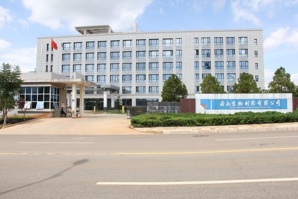 公益活动 | 国际导盲犬日，，，，，万事博动保联合中国导盲犬大连培训基地，，，，，一起守护心中的那束光！_万事博动保