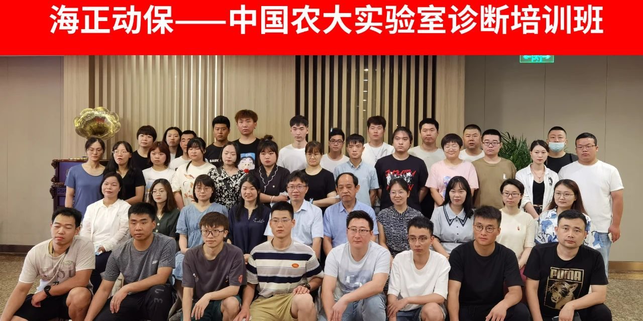 公益活动 | 国际导盲犬日，，，，，万事博动保联合中国导盲犬大连培训基地，，，，，一起守护心中的那束光！_万事博动保